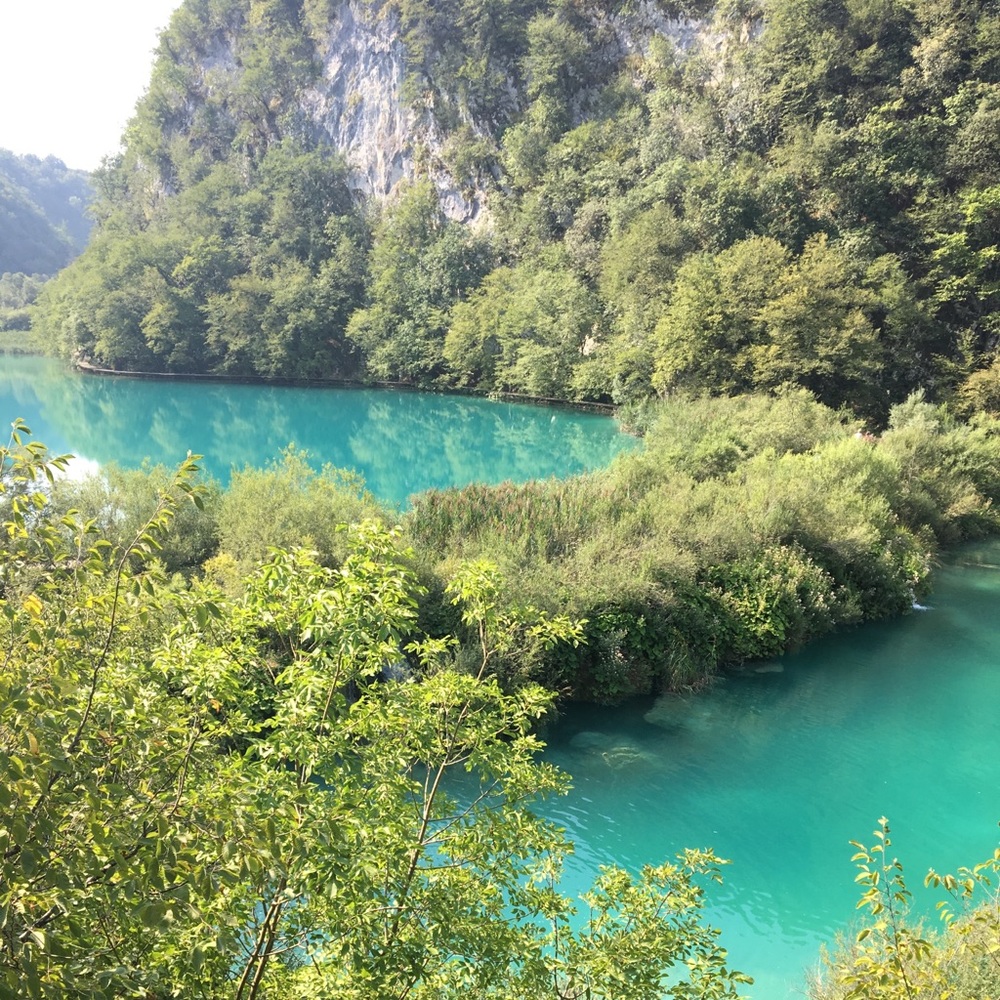 Meet your Posher, Joyce